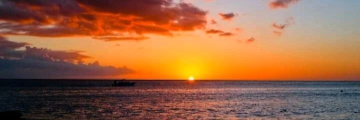 beelu_96's profile banner image