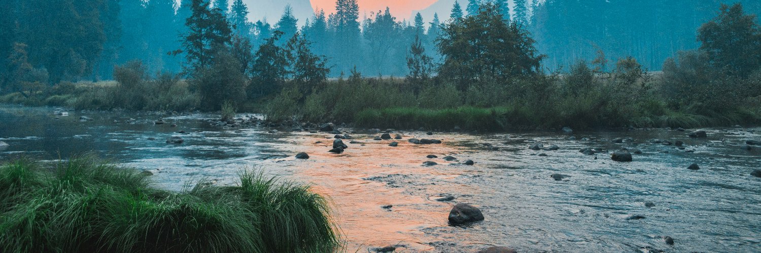 nayanikasoni's profile banner image