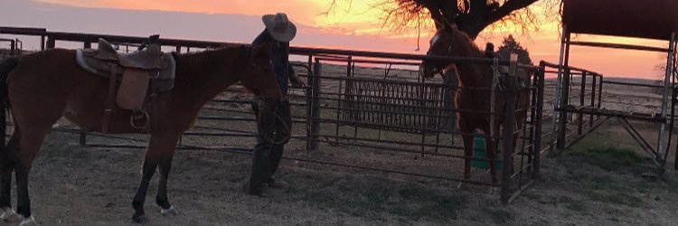 tcheck15's profile banner image