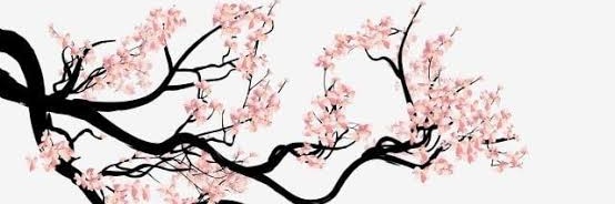 Ronin banner