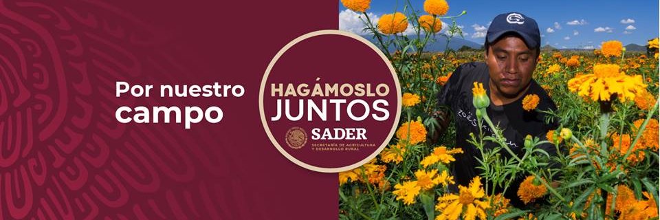 SADER Durango banner