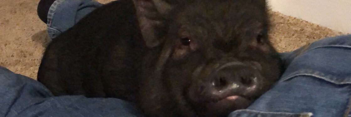 Random_Grumbles's profile banner image
