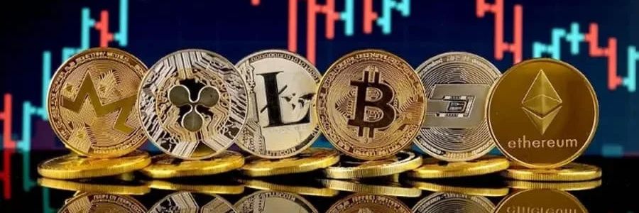 Crypto Fundamentals banner