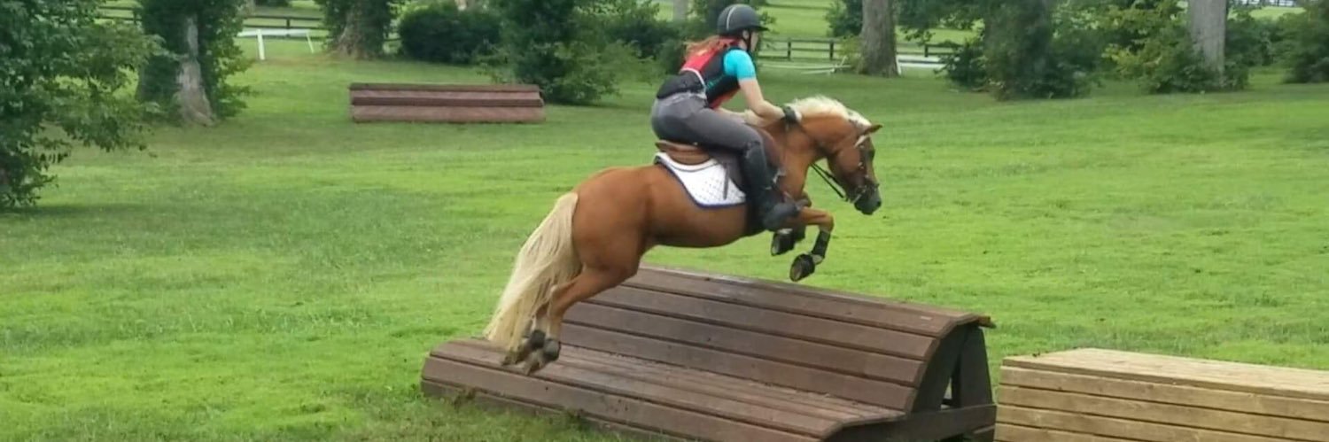 Pumpkin Spicy Pony Wrangler banner