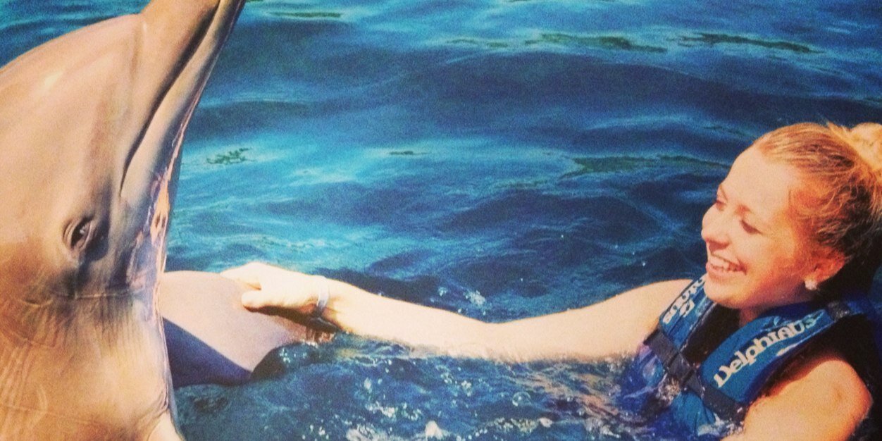 rosiehall91's profile banner image