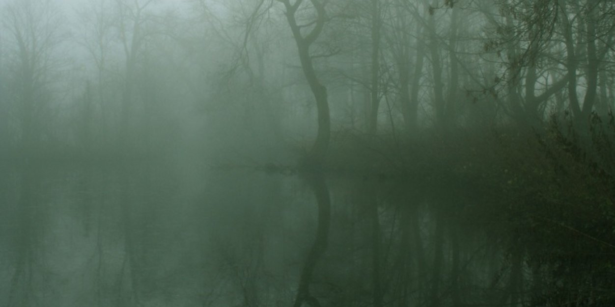 Jenni_3's profile banner image