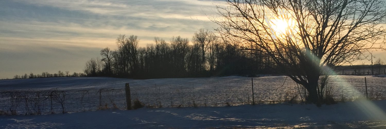 XOjessbates's profile banner image