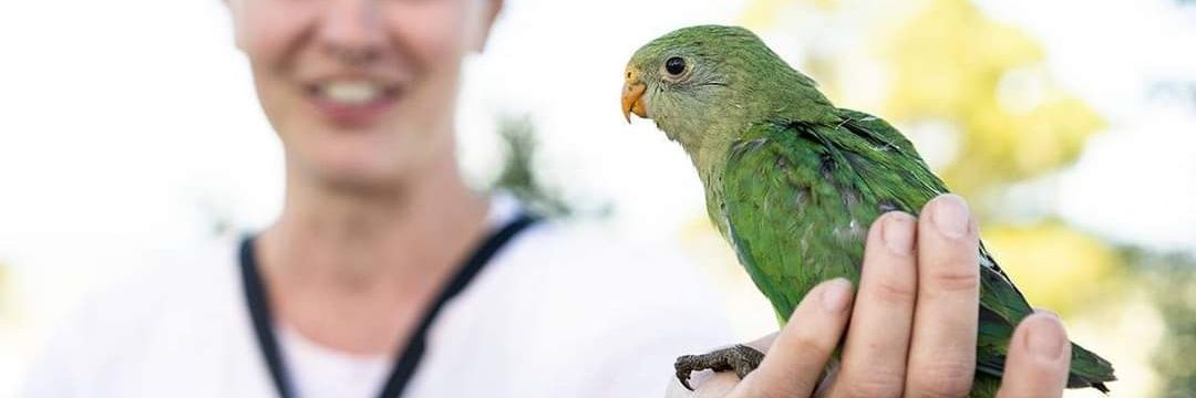 Dr Laura Rayner banner