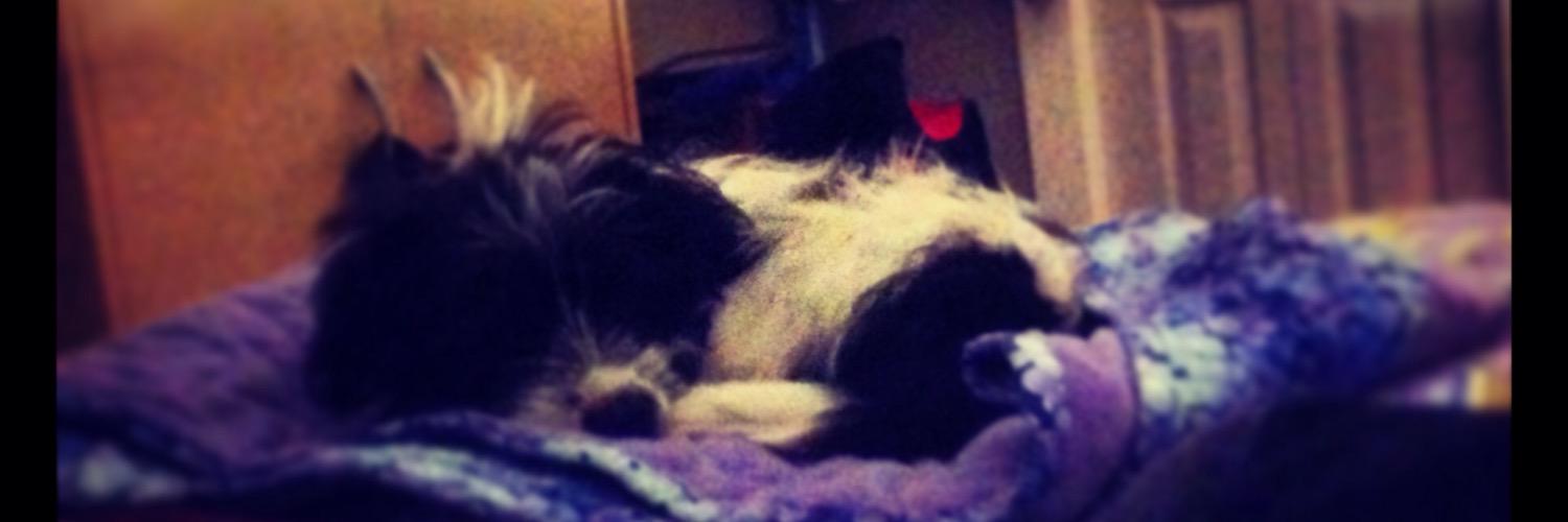 hoppy306's profile banner image