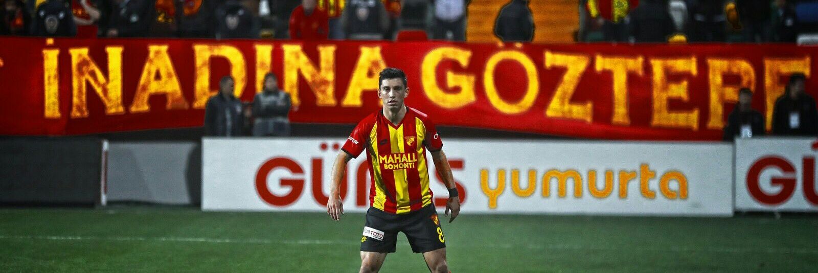 Haldun's Mind banner