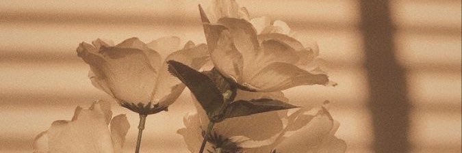 dheadaletha's profile banner image