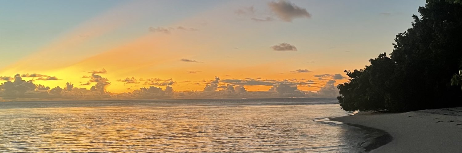 liMeehhh's profile banner image