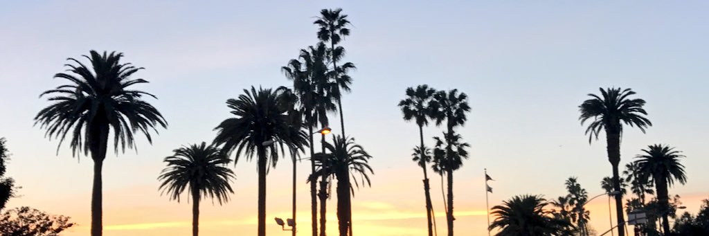 EllyBaze's profile banner image
