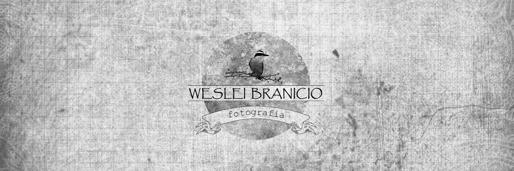 WesleiBranicio's profile banner image