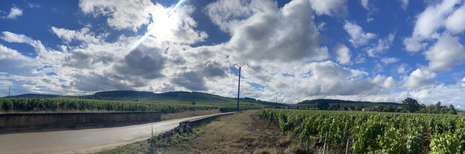 syrah_e's profile banner image