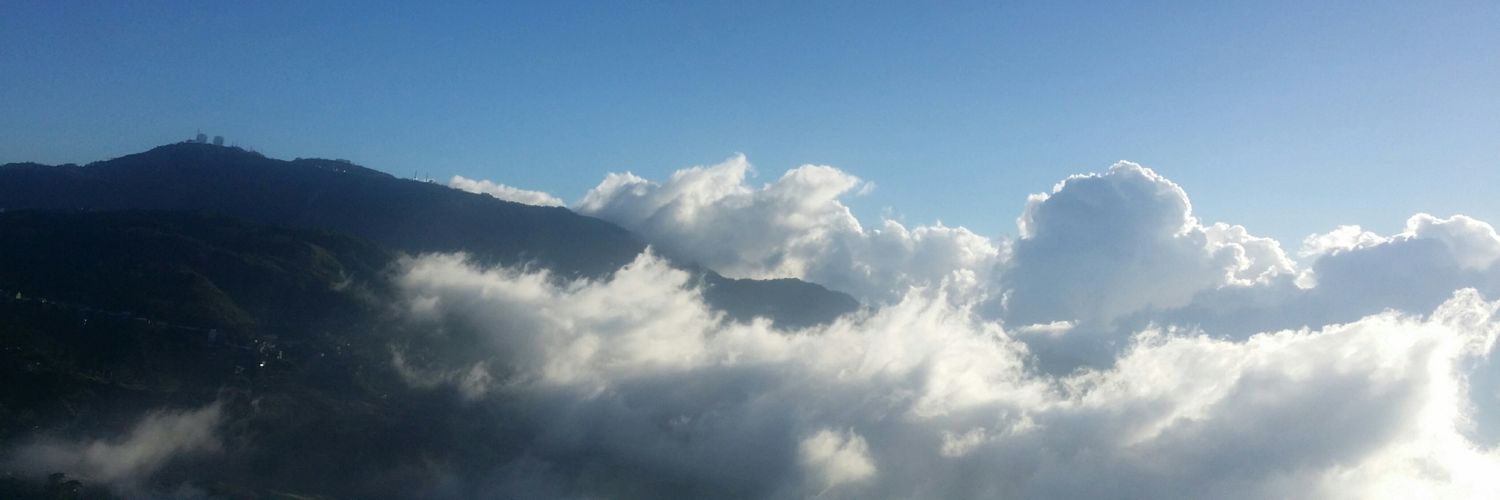 LPalsi's profile banner image