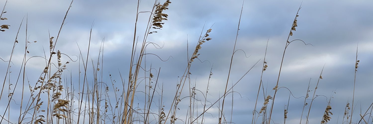 Steve&Lorraine banner