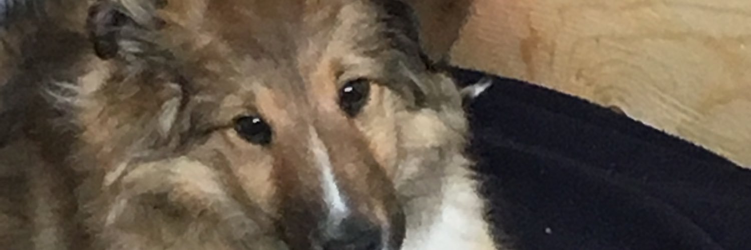 Splay1321's profile banner image