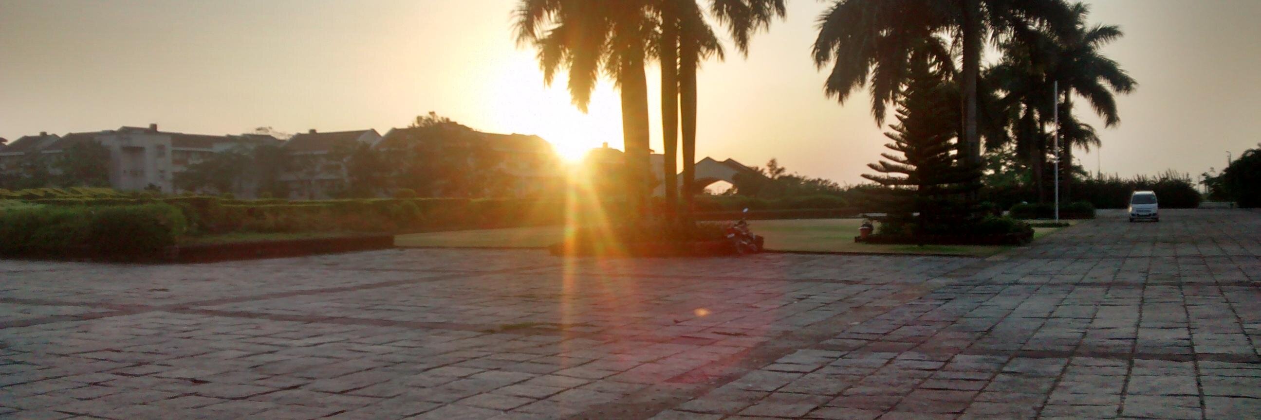 Yash Sharma banner