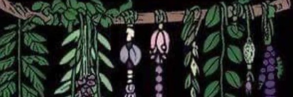 PikeCoMsMartin Profile Banner