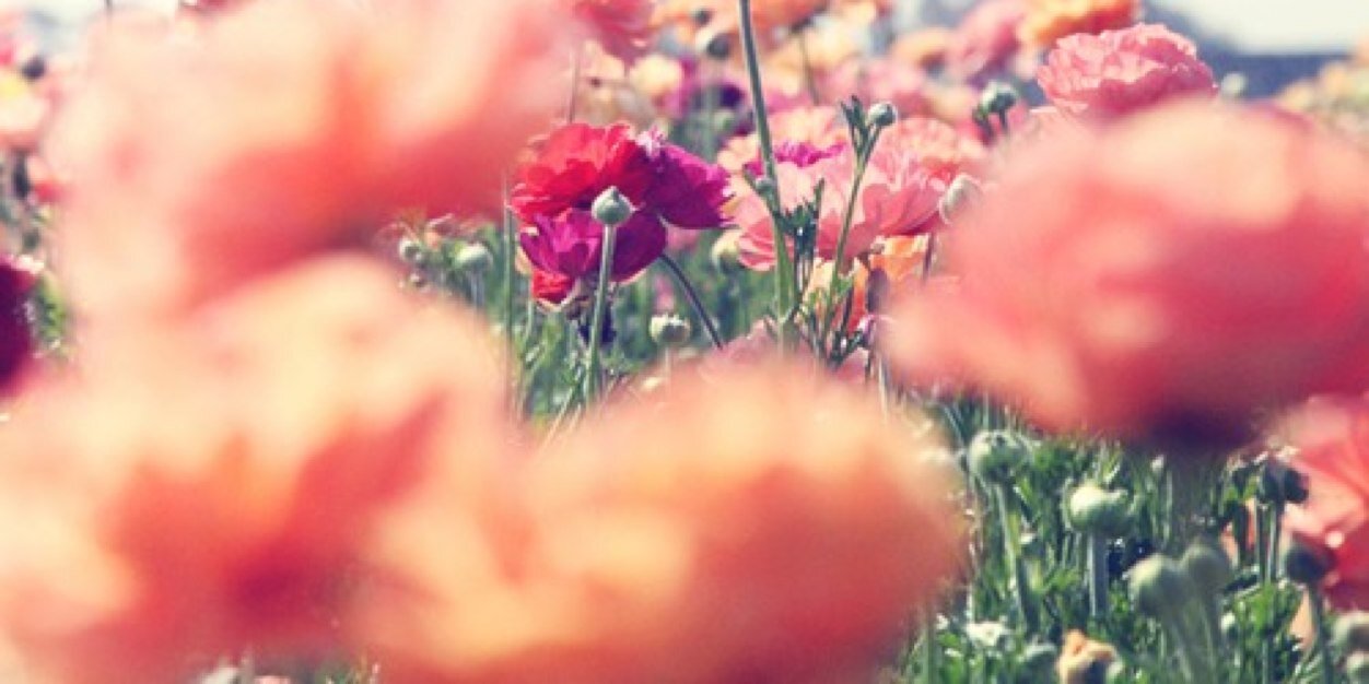 karinaputi's profile banner image