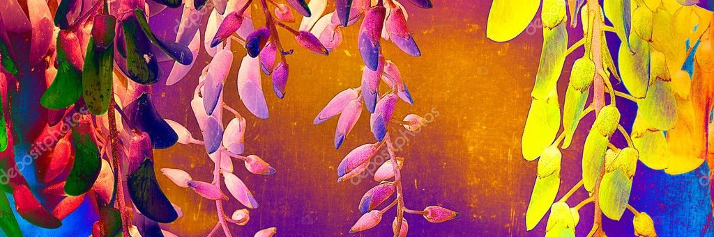 Sabellah666's profile banner image