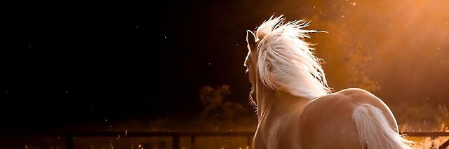 ♥ Αλεξάνδρα's banner