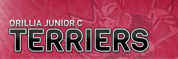 Orillia Terriers banner