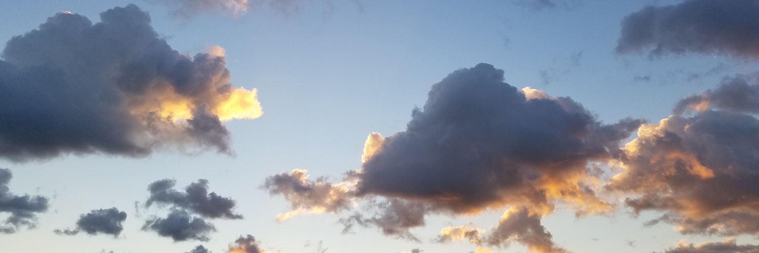 Tiffanii19's profile banner image