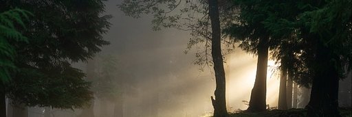 LouisCheeksDoe's profile banner image