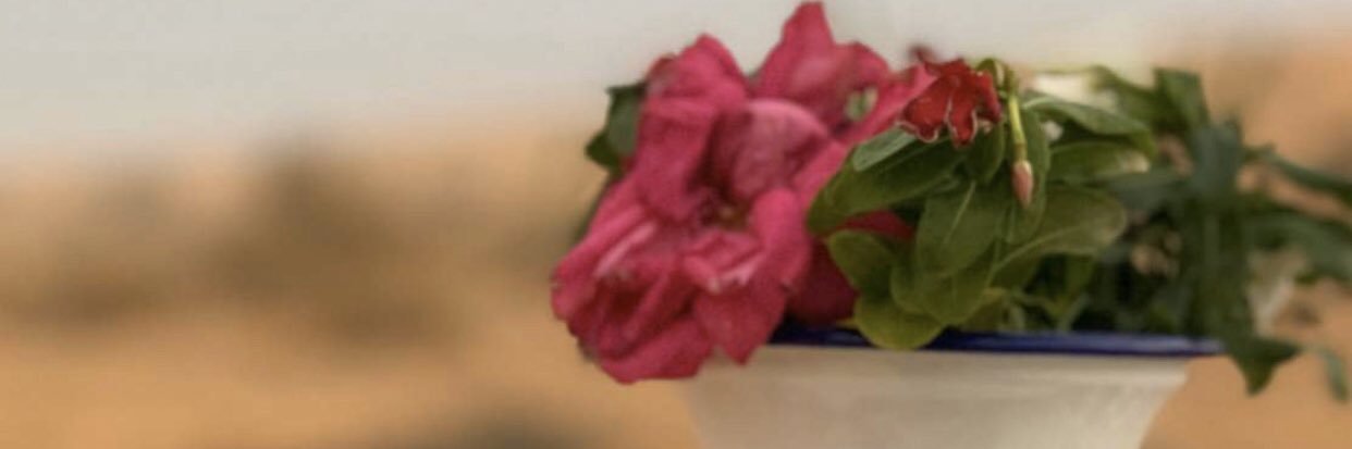 005Asayl's profile banner image