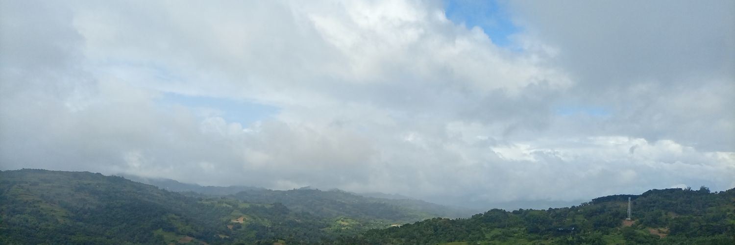 cathellfanale's profile banner image