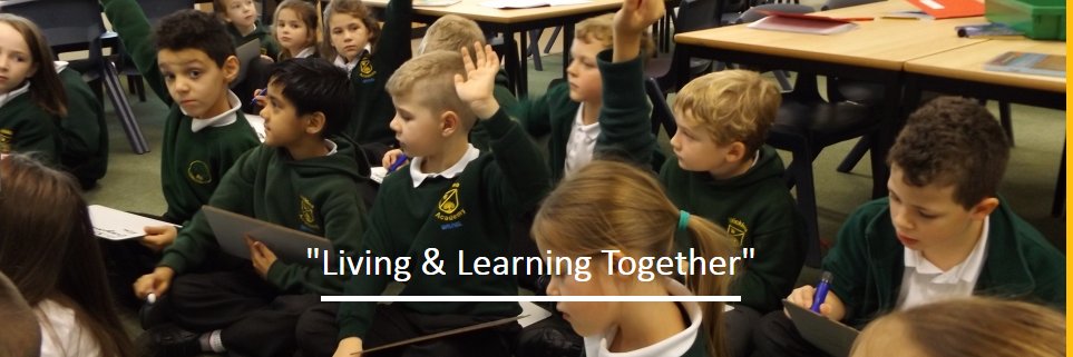 wickleaacademy's profile banner image