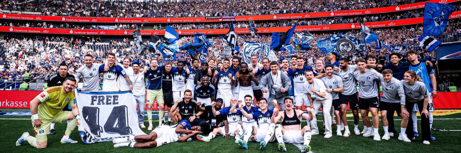 MaximHSV banner