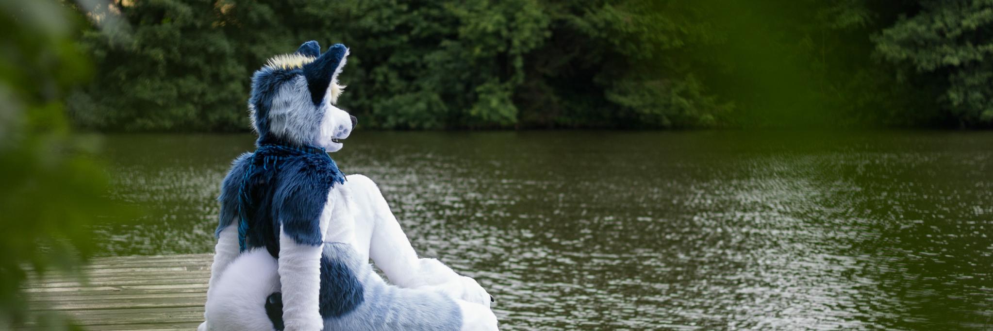 MirekMoony's profile banner image