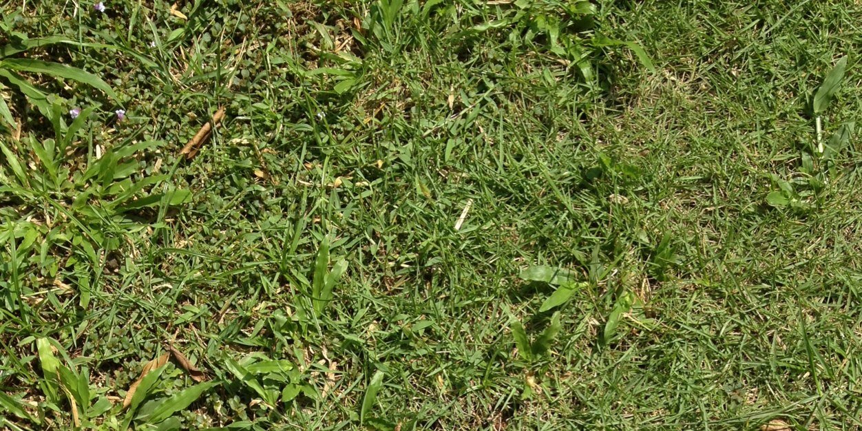 LaBeauteInc's profile banner image