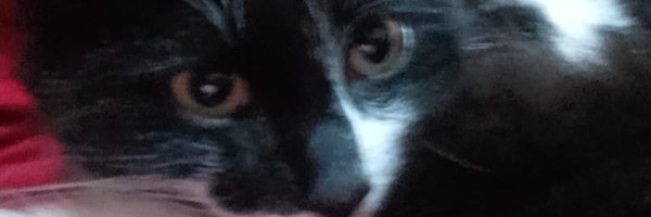 Chrisslimex Profile Banner