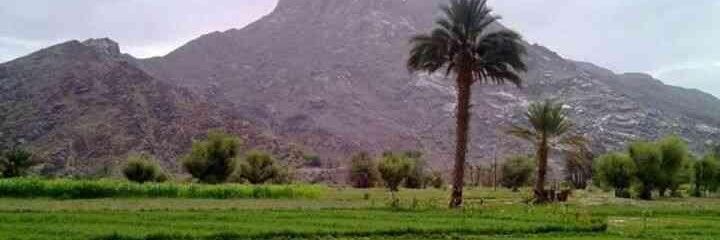 alhashmi223's profile banner image