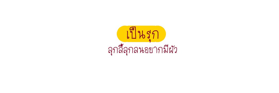 ใบพลู banner