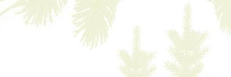 GFIS_net's profile banner image
