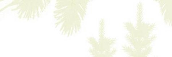 GFIS_net Profile Banner