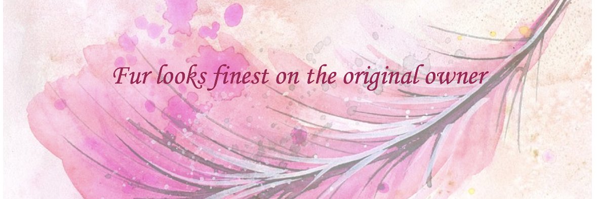 FurForFashion's profile banner image