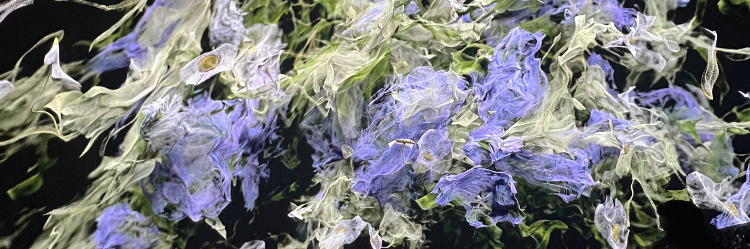 emaweedss's profile banner image