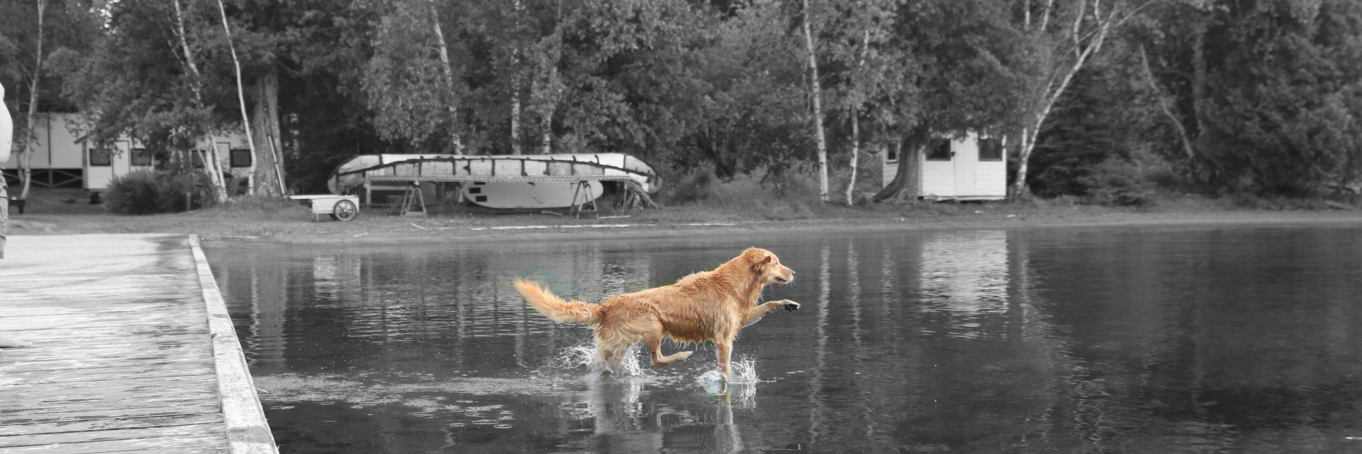 Sarah Flotten banner