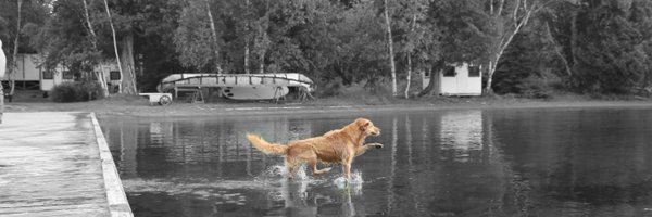 SFlotten Profile Banner