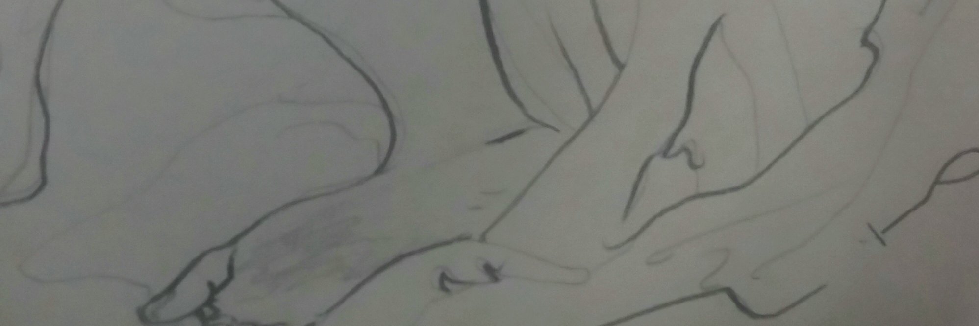 Camilla Thomas banner