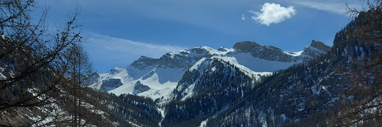 leonardoarcang3's profile banner image