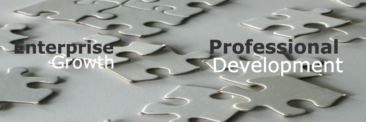 Stephanie O’Boyle banner