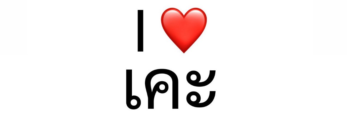 ชญานันท์🐻‍❄️ banner