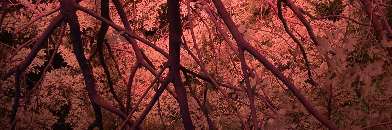 _dlb16's profile banner image